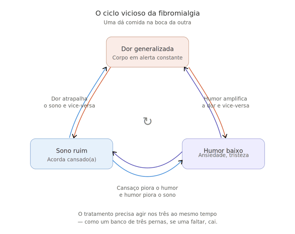 infográfico ciclo vicioso da fibromialgia dor sono humor