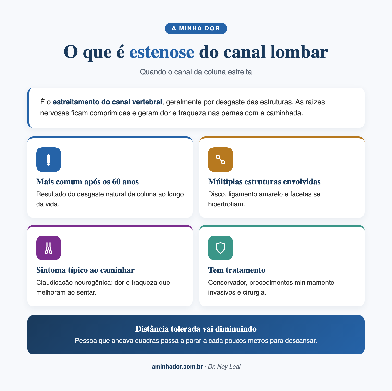 Estenose do canal lombar, anatomia da coluna