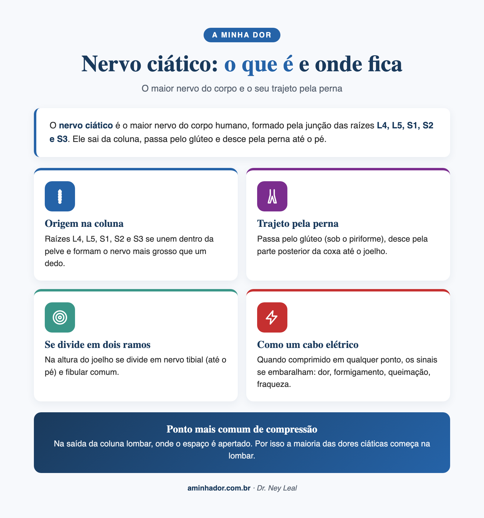 Nervo ciático: o que é e onde fica