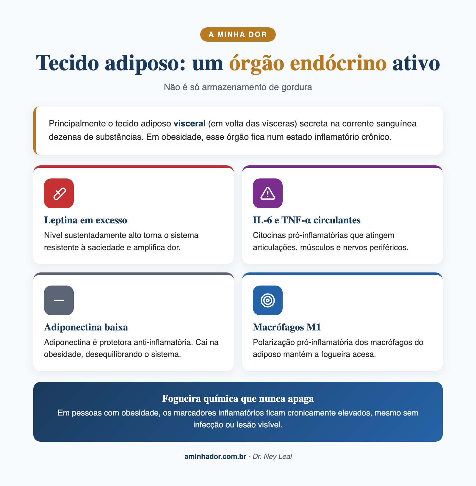 obesidade e dor crônica: tecido adiposo como órgão endócrino inflamatório